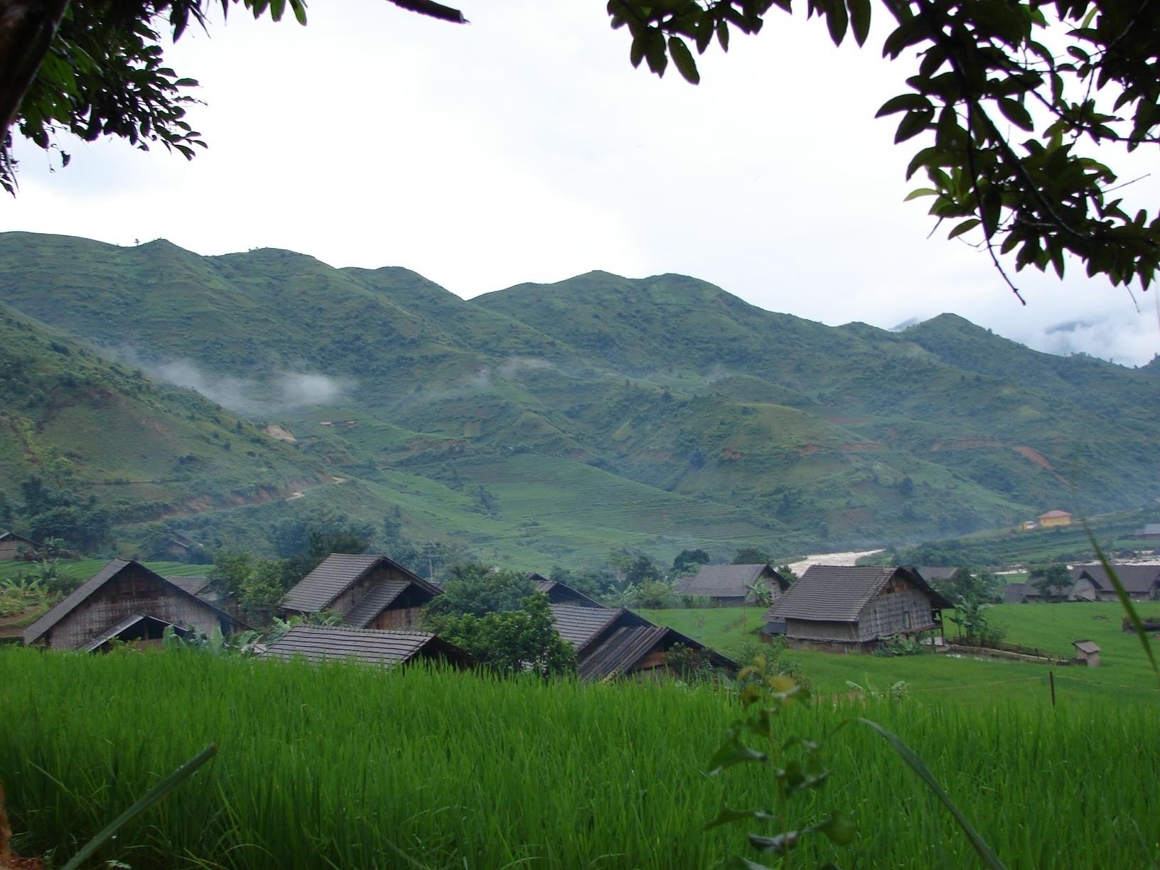 Homestay tour in Sapa