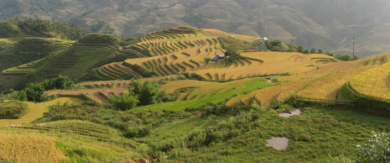 Sapa 2 Day Minority Trek - 1 night village stay
