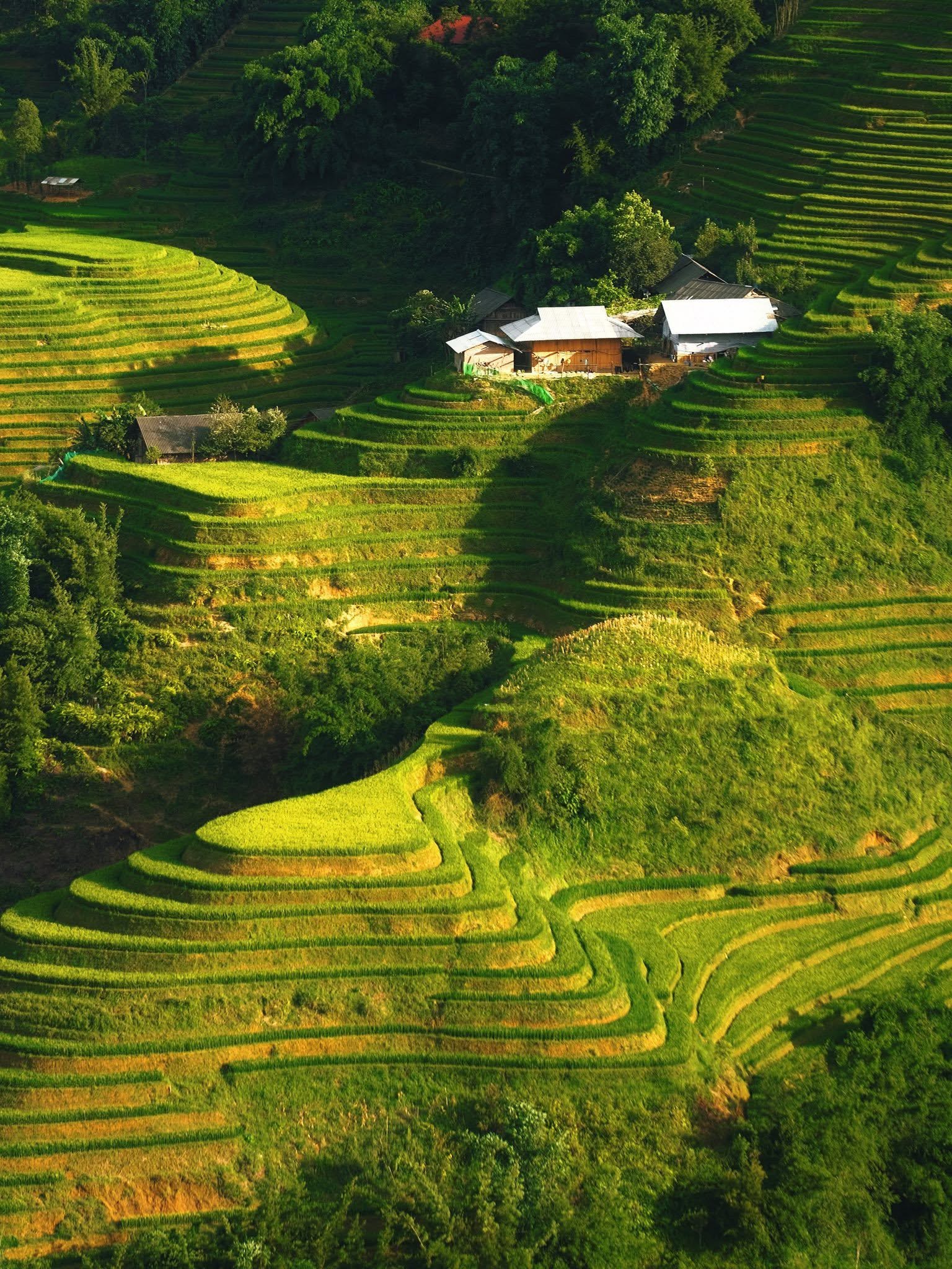 Sapa Adventure Trek: Ta Van - Seo Mi Ty - Den Thang - Ta Trung Ho Route