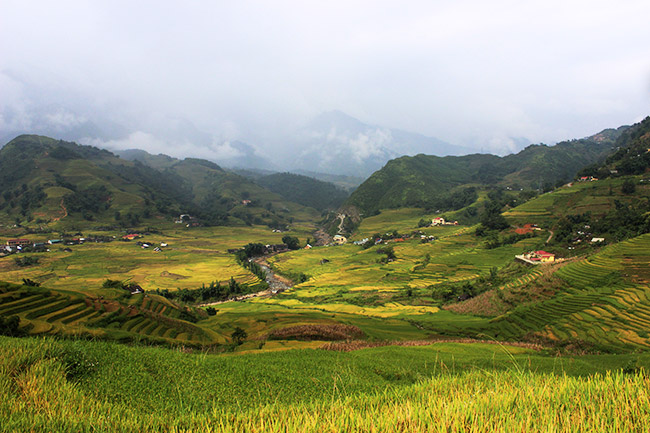  Visiting the beautiful Muong Hoa Valley of Sapa