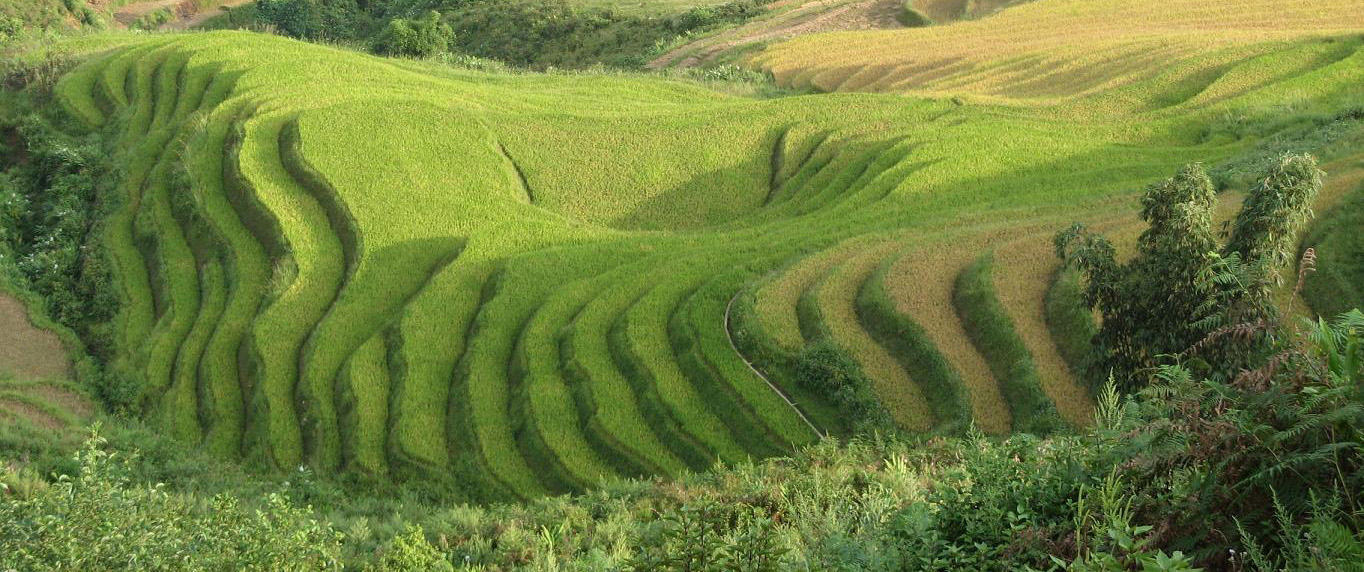 Sapa 2 Day Minority Trek - 1 night hotel stay