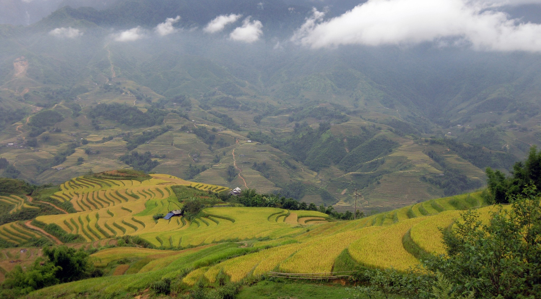 Sapa Pathfinder Travel