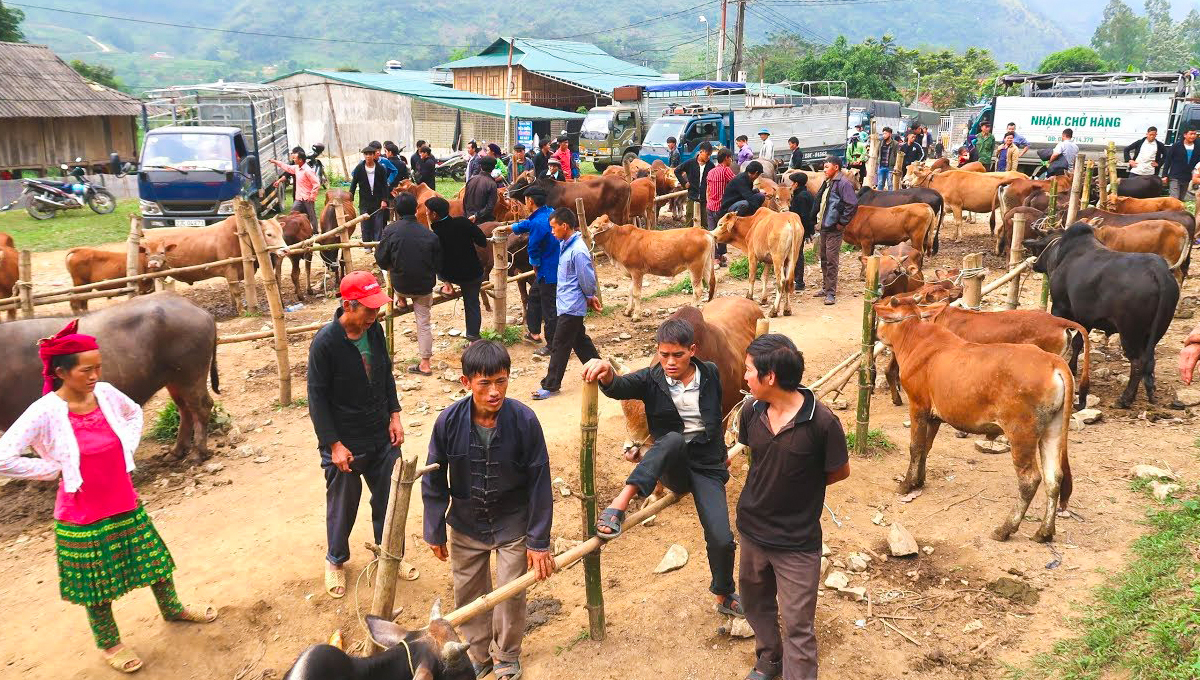 2 Day Sapa – Coc Ly Market Tour