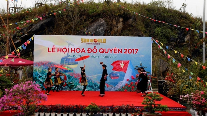  Sapa hosts Rhododendron flower festival