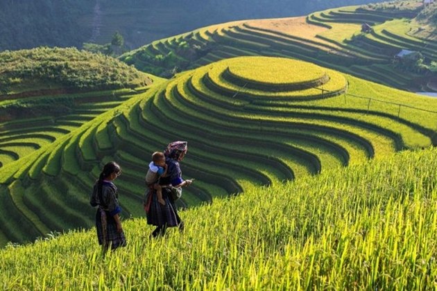 Sapa 1 day trek with 1 day cultural market tour